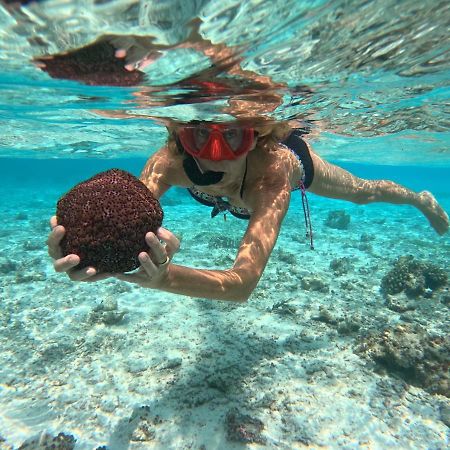 Adroit Beach Inn Guraidhoo  Εξωτερικό φωτογραφία