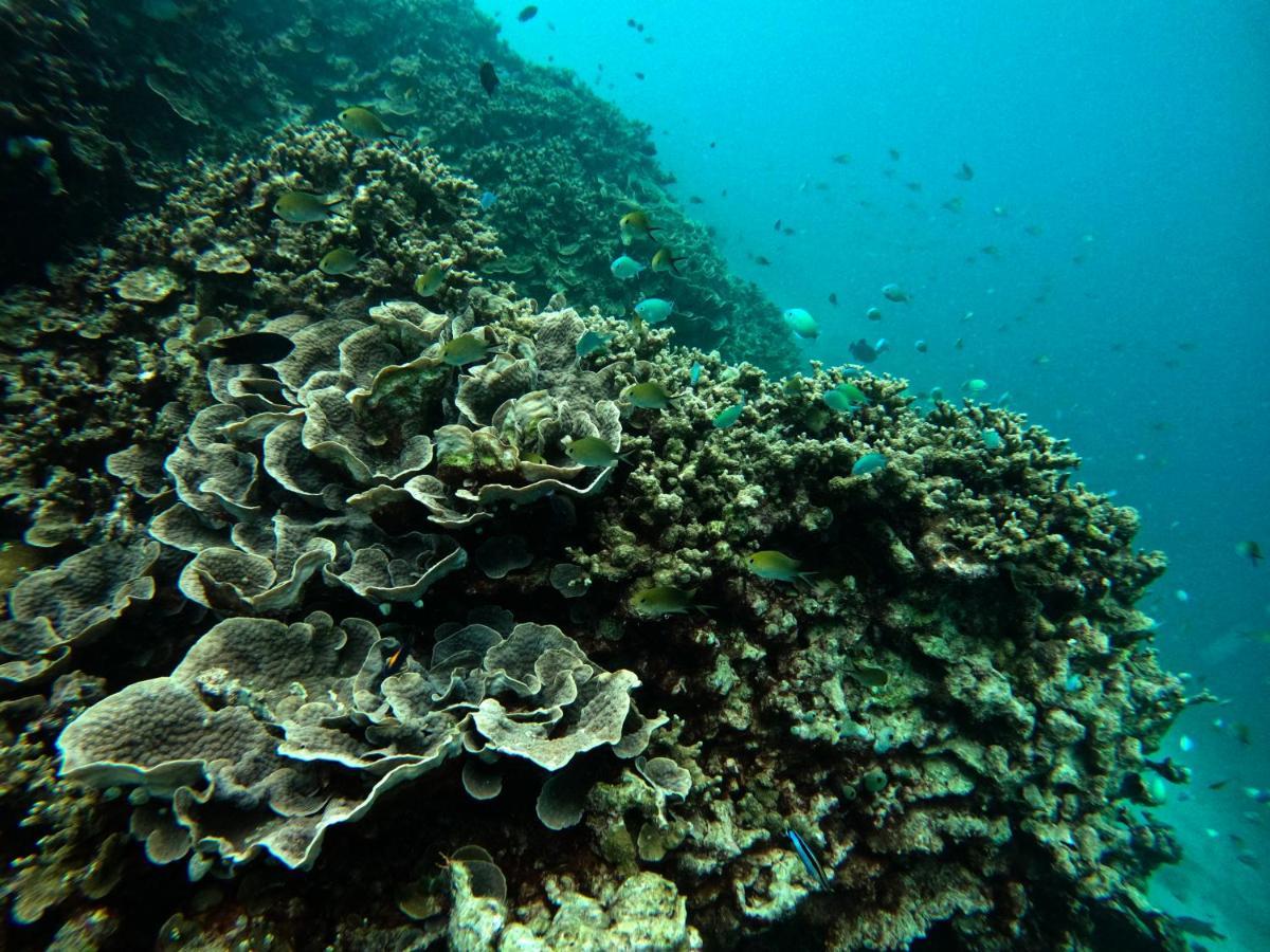 Adroit Beach Inn Guraidhoo  Εξωτερικό φωτογραφία